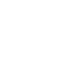 police service